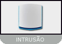 Intrusão